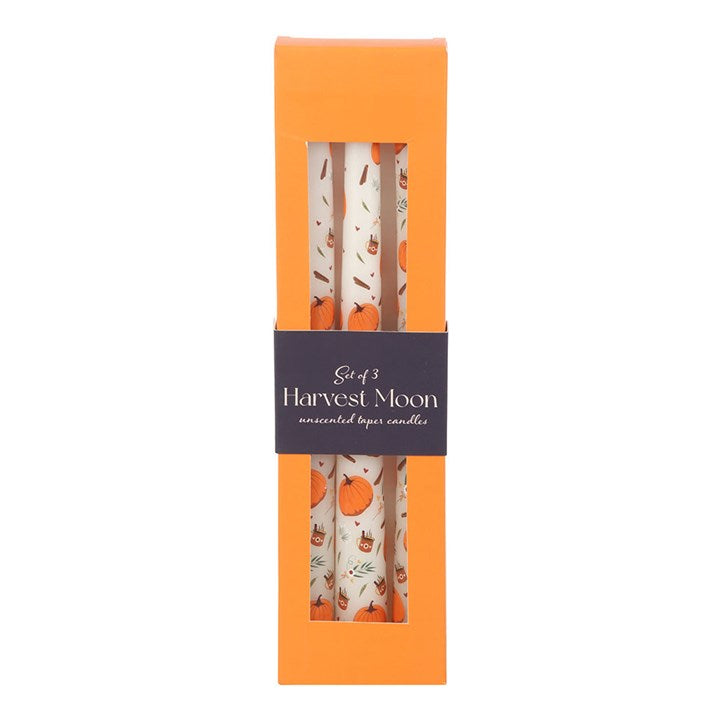 Set Of 3 Pumpkin Taper Candles