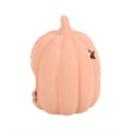 Terracotta Stars Pumpkin Tea Light Holder