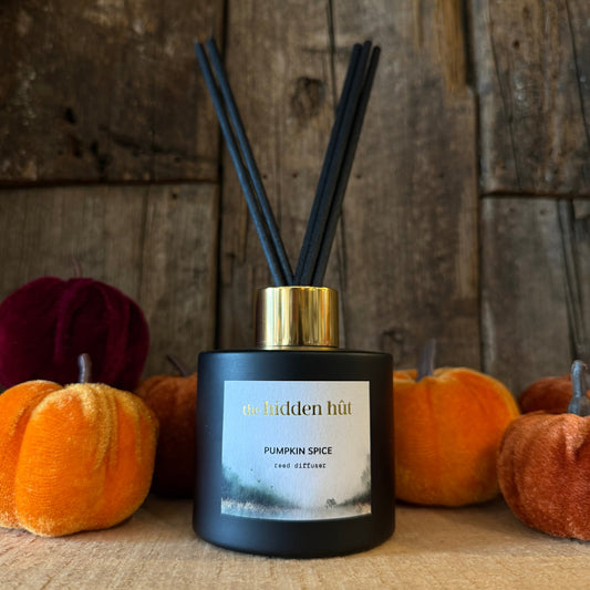 Pumpkin Spice 100ml Reed Diffuser