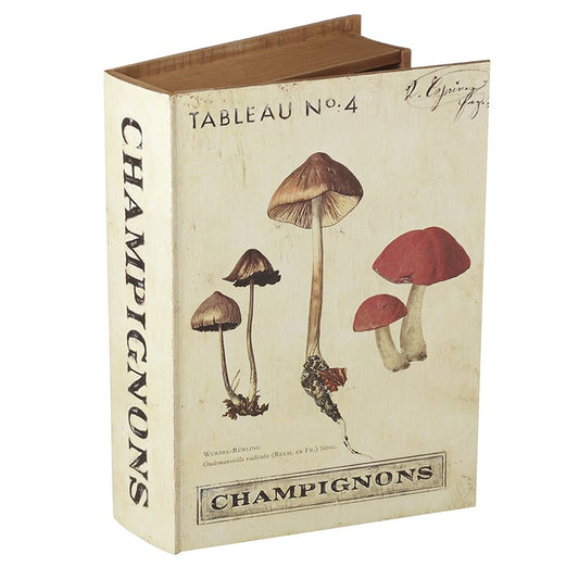 Autumn Wooden Book Storage