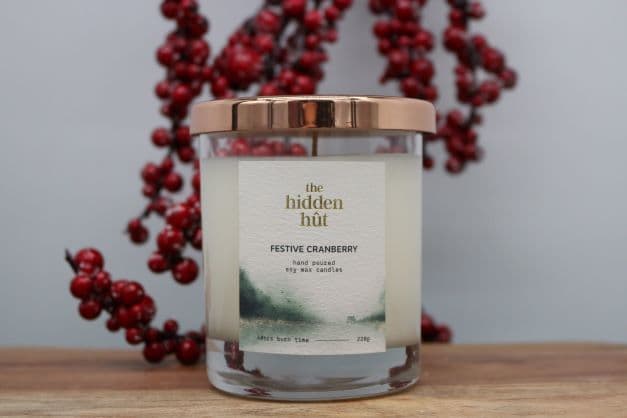 Festive Cranberry 220g Candle